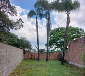 Poda Familiar JOFRÉ