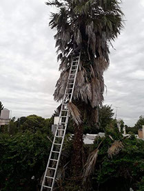 Poda Familiar JOFRÉ 