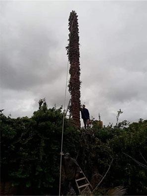 Poda Familiar JOFRÉ 