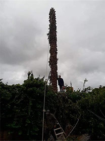 Poda Familiar JOFRÉ 