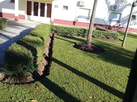 Poda Familiar JOFRÉ 