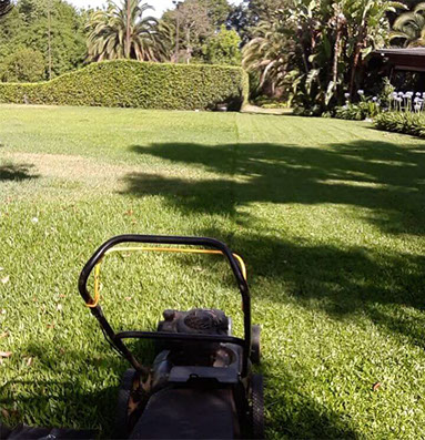 Poda Familiar JOFRÉ 